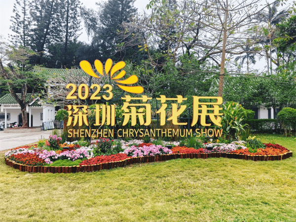 深圳菊花展由即日至12月29日舉行，并以現(xiàn)菊薈萬象作為主題。