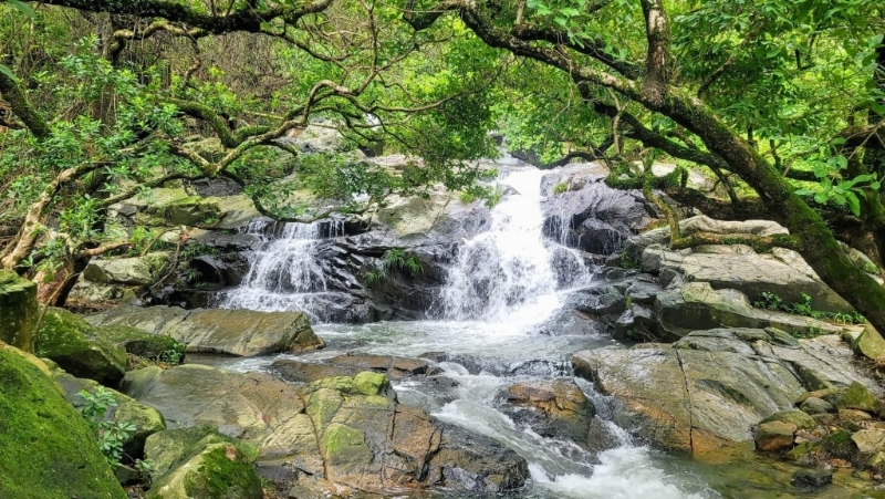 蓮苑臺瀑布 雖然面積較細，瀑布也不算高，但水流湍急，形成一道一道小浪頭。