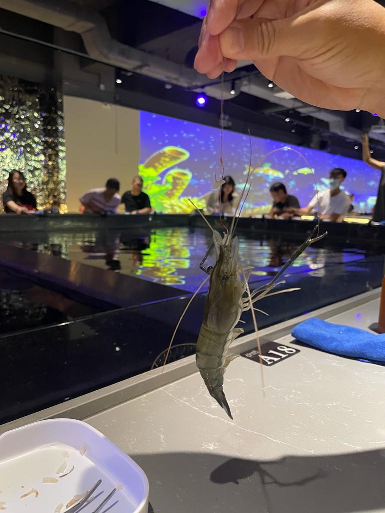 釣蝦