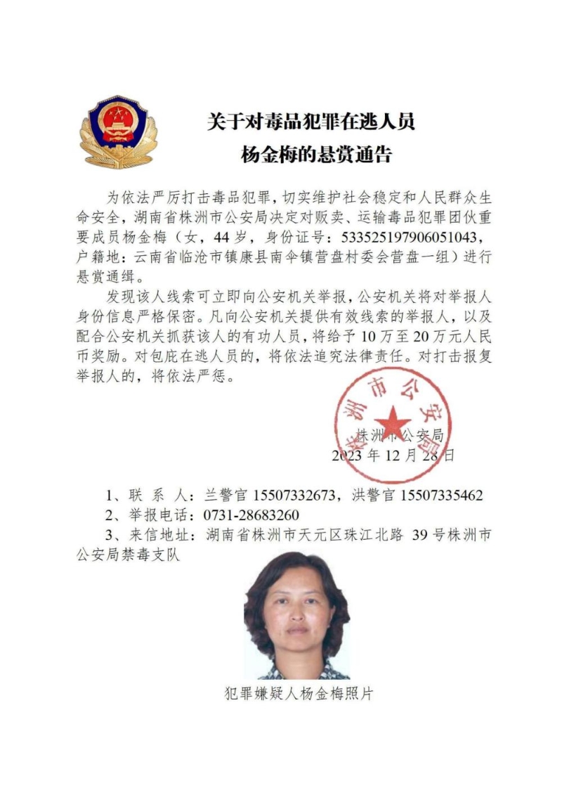 公安部懸紅通輯10名藏匿緬北的中國毒販4。