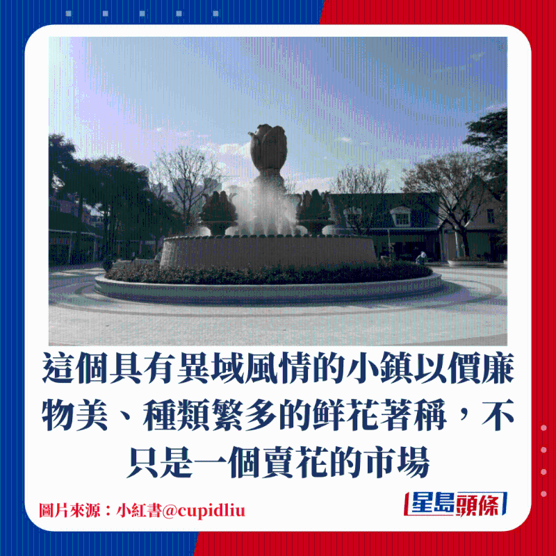 荷蘭花卉小鎮(zhèn)