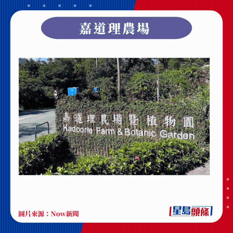 香港10大賞櫻熱點(diǎn)｜嘉道理農(nóng)場暨植物園