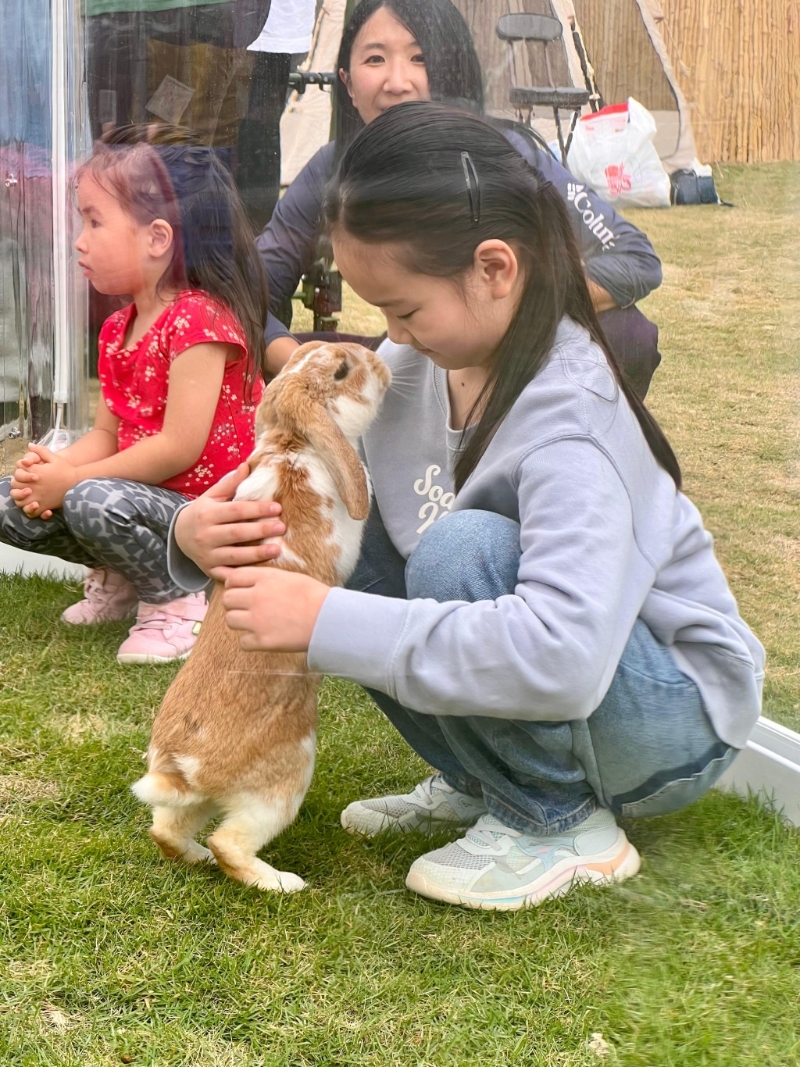 Bunnyland 與兔兔露營(yíng)