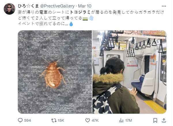 日本爆發(fā)虱患