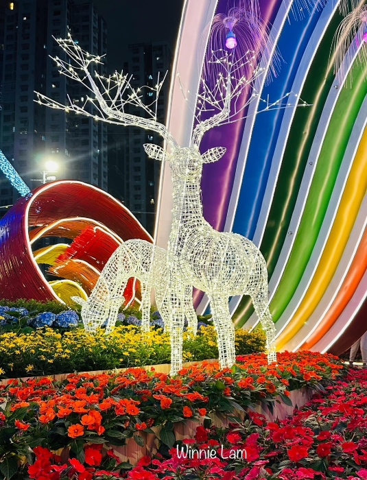 晚上到訪香港花展2024，跟白天的花展感覺(jué)截然不同。