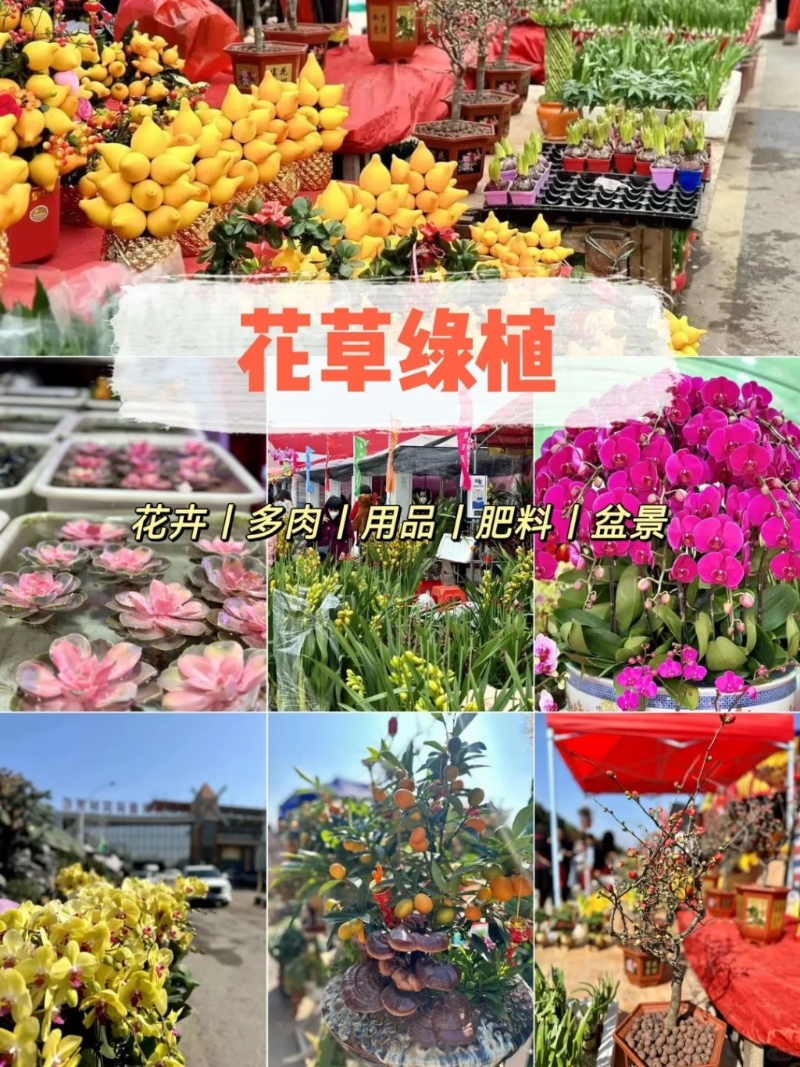 花草區(qū)