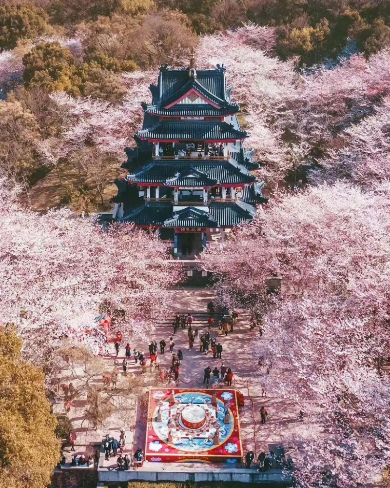 無錫太湖黿頭渚景區(qū)