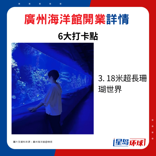 3. 18米超長(zhǎng)珊瑚世界