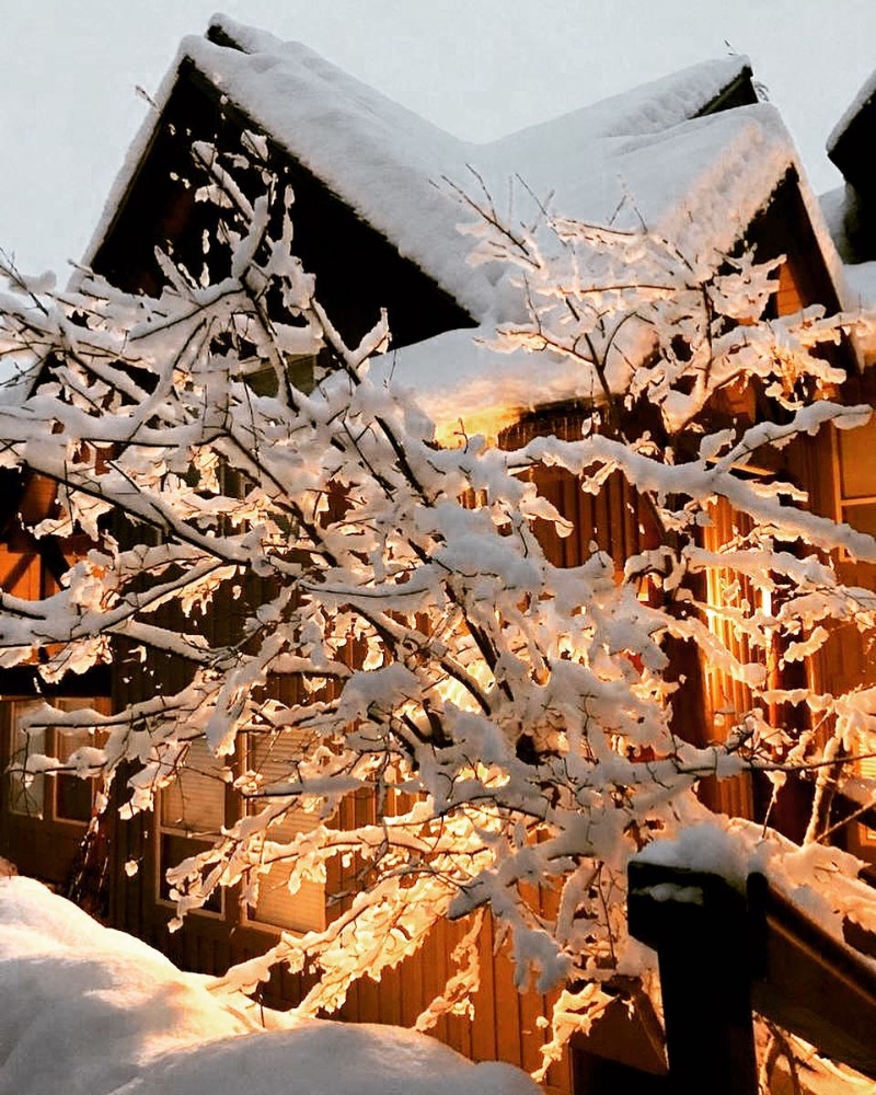 屋外雪景好靚。