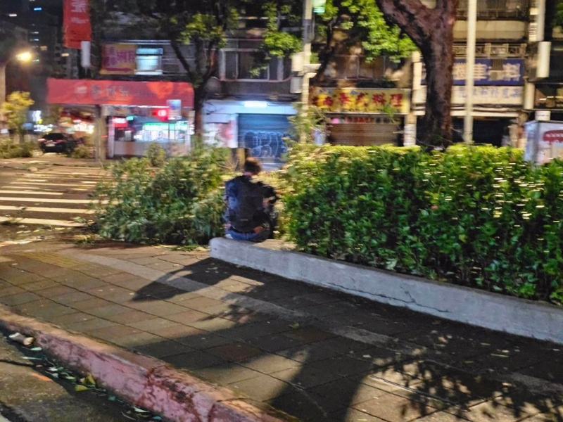 清理樹枝