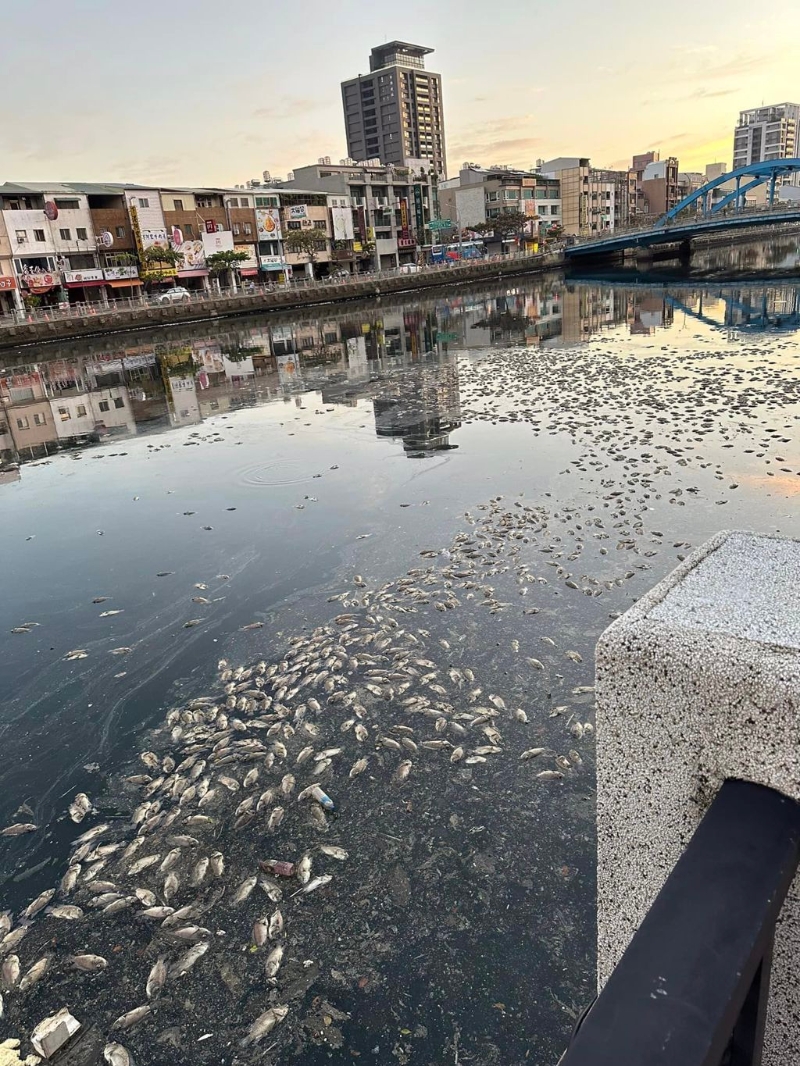 死魚
