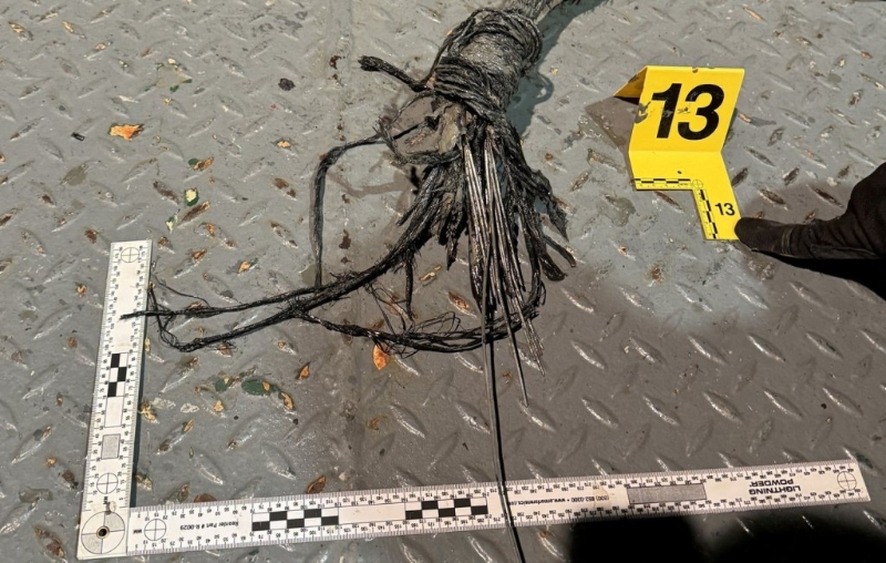 芬蘭去年和愛沙尼亞之間的海底電纜也受損。 路透社