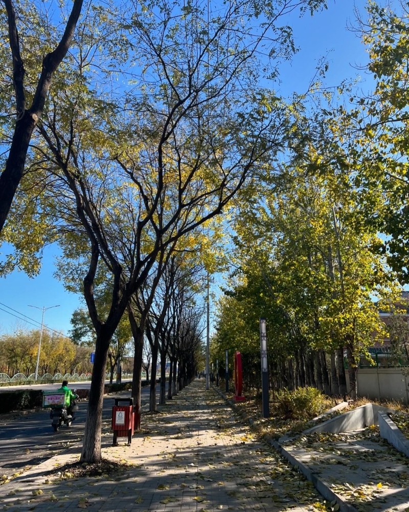有網(wǎng)民認(rèn)得梁洛施正身處北京。