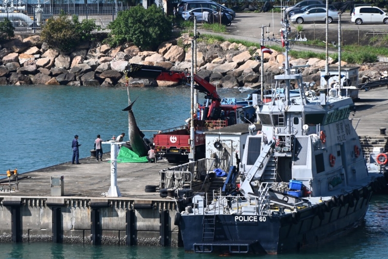 吊臂車在大欖水警基地運(yùn)走鯨尸，送交漁護(hù)署海岸公園管理站解剖