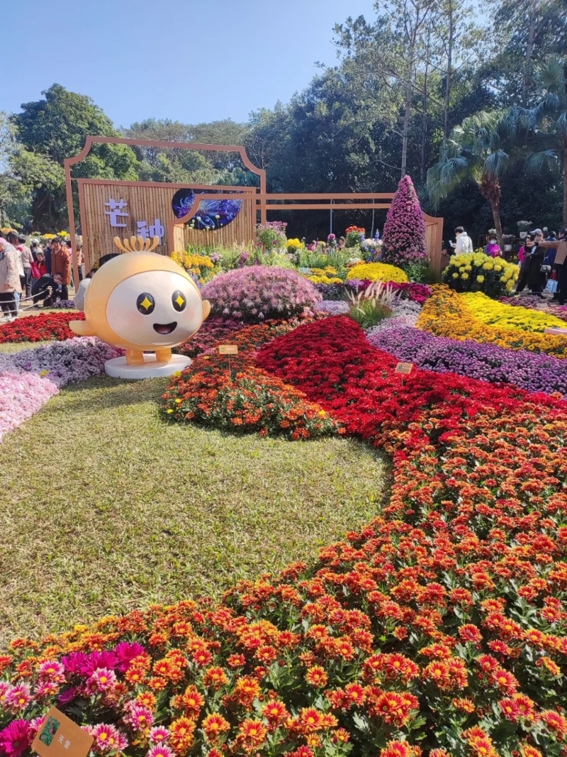 東湖公園菊花展