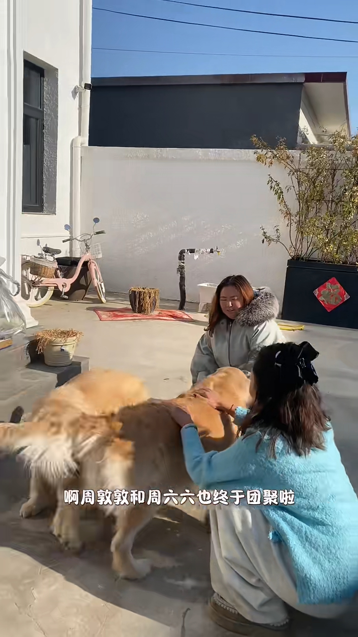 原來周六六和周墩墩再可以一起生活。