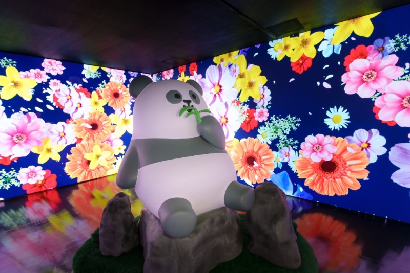 佻皮的大熊貓成員藏身在「夢(mèng)幻花海」的花叢易像中。