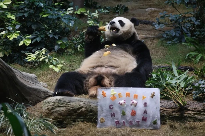圖片