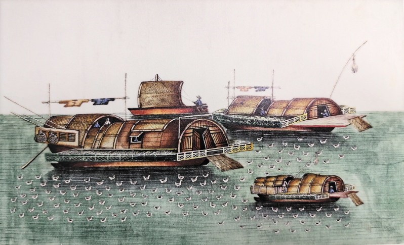 通草畫(huà).jpg