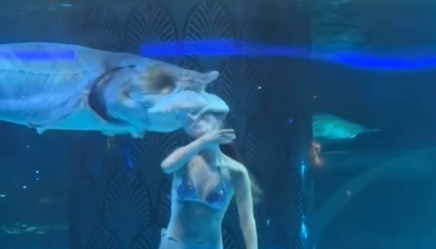 鱘魚