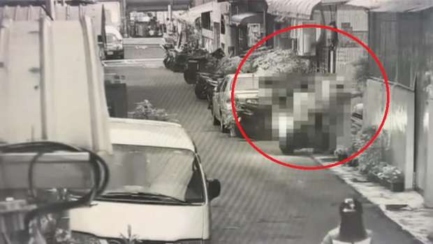 林婦與張男進(jìn)入住處。