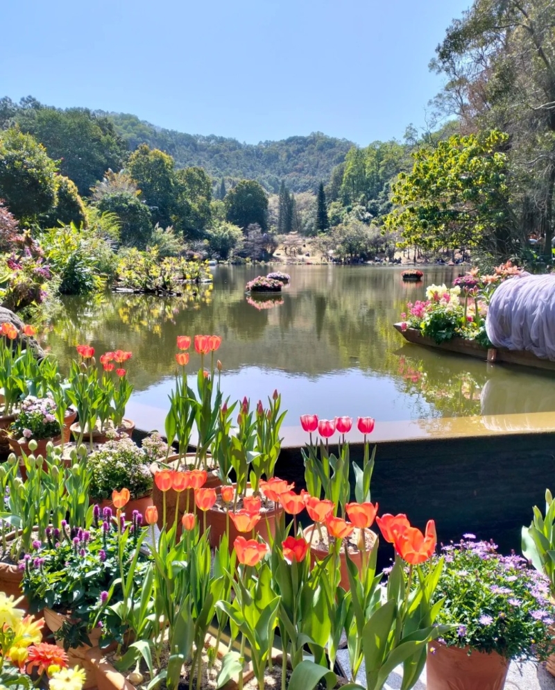 仙湖植物園