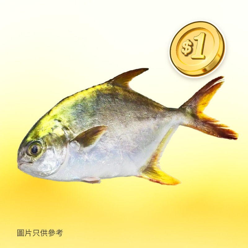 黃立倉