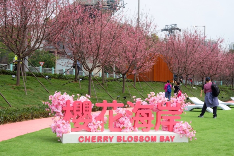機(jī)場(chǎng)櫻花園