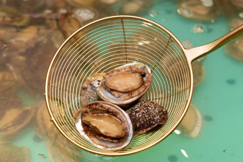 鮑魚