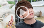 頂流姜濤迷惑行為+1，大饞小子竟學(xué)熊貓吃竹葉