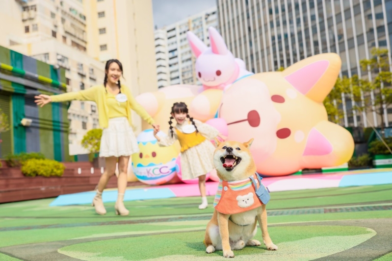 life@KCC + joy@KCC毛孩齊來搗蛋