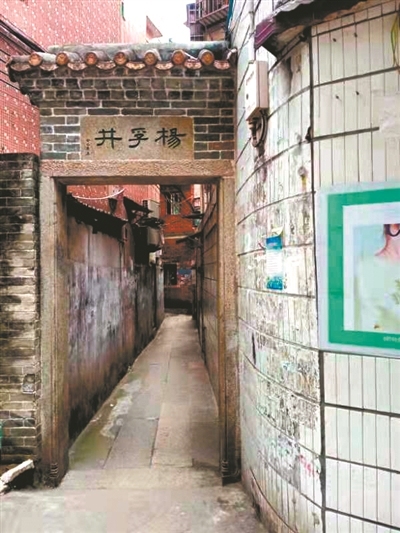 “楊孚井”.jpg