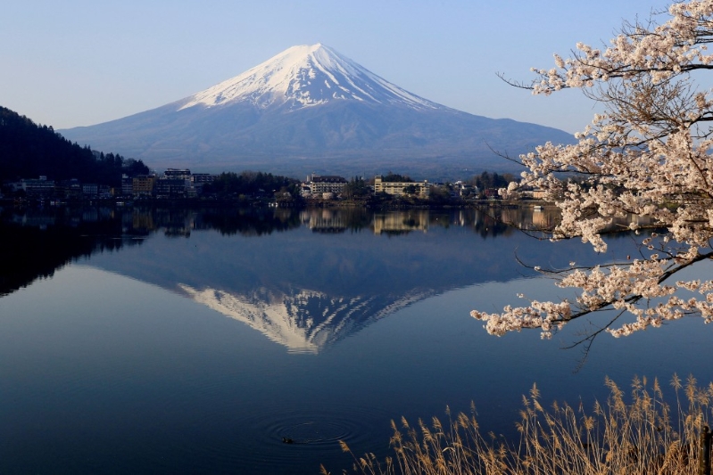 富士山