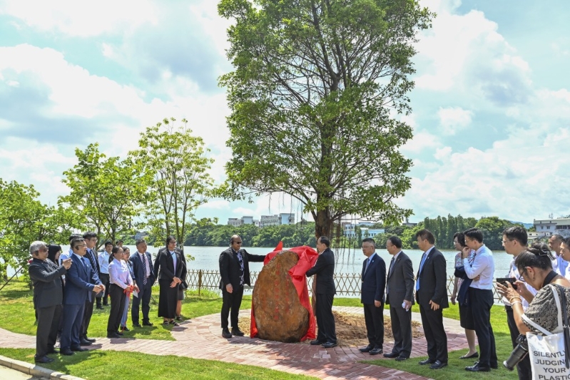 阿迪昂（石碑左）植下一棵象征家族根脈的榕樹。 中新社