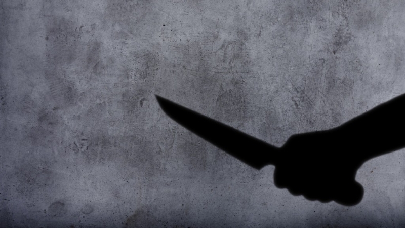 岳父買(mǎi)兇殺女婿