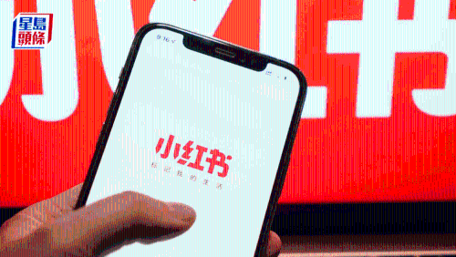 小紅書據(jù)報(bào)今年利潤增兩倍至234億