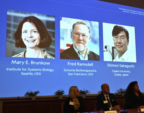 諾貝爾失聯(lián) 諾貝爾失聯(lián)