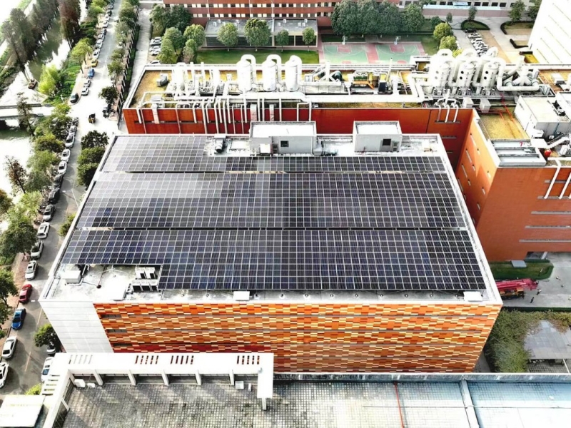 周生生3 周生生3