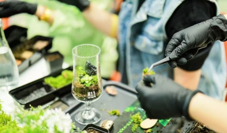 周生生5 周生生5