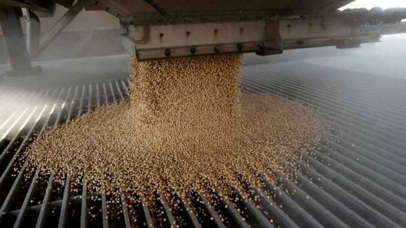 中國(guó)進(jìn)口商預(yù)訂大批美國(guó)大豆。